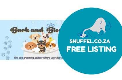 Bark & Biscuit Featured