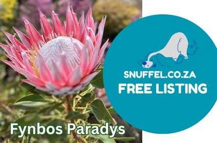 Featured Image 428 X 280 (26)