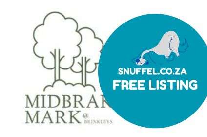 Featured Image 428 X 280 (27)