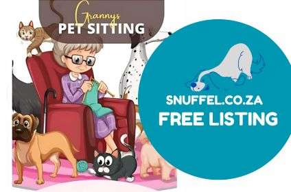 Grannys Pet Sitting Featured