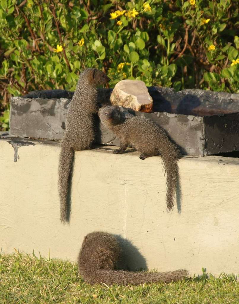 461195088 3910862962466997 3972737951469064332 N