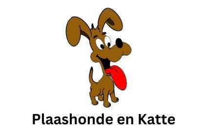 Featured Image 428 X 280 (48)