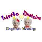 Little Einsteins