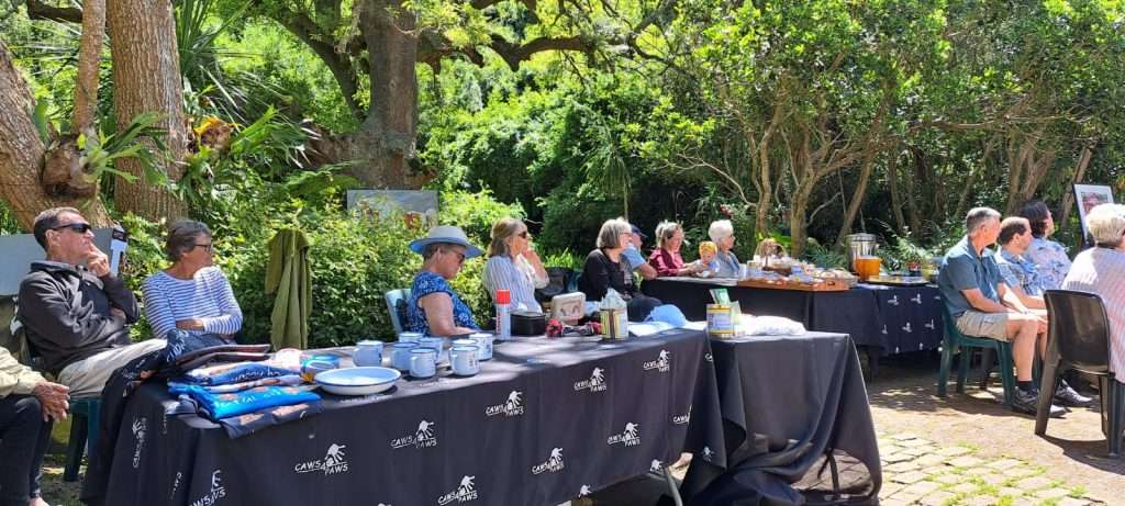 Whatsapp Image 2024 10 28 At 14.17.38 086b4472